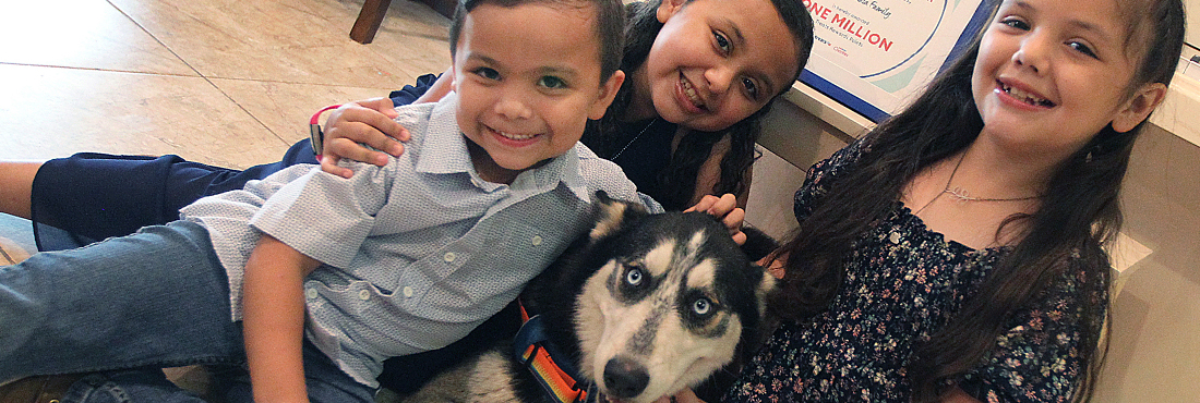 Rescue-Husky-is-One-in-Ten-Million-as-Pet-Charity’s-Milestone-Adoption