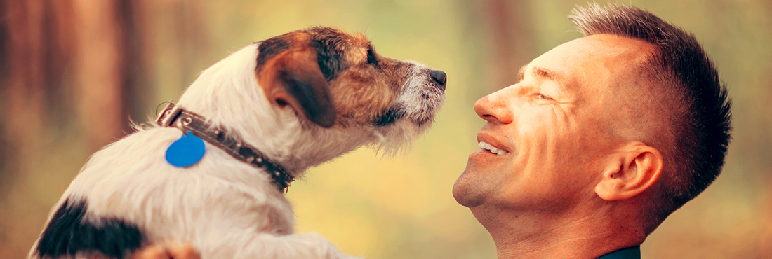Study Shows That Dogs Boost Their Owners’ Moods