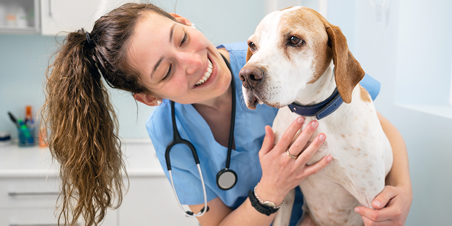 Young happy veterinary nurse smiling while playing with a dog. High quality photo