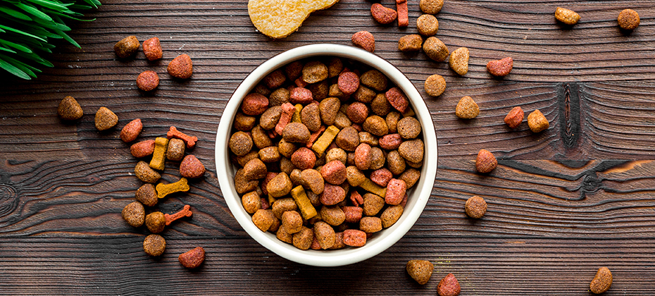 dry dog food in bowl on wooden background top view