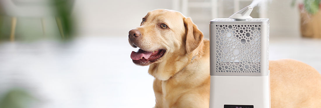 Best-Air-Purifiers-for-Pets