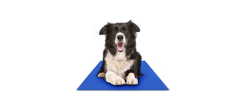 Scratch Resistant: Chillz Cooling Mat For Dogs