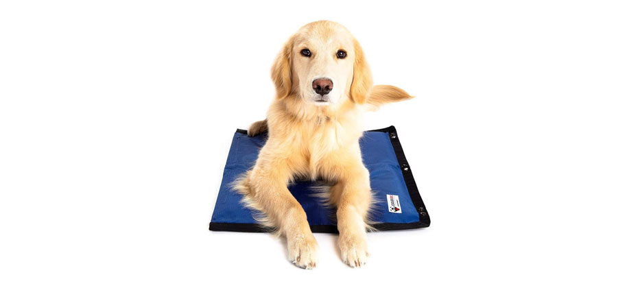 Most Durable: CoolerDog Dog Cooling Pad