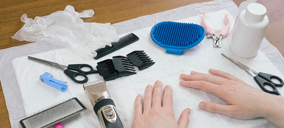 Groomer's workstation prepared for grooming and hygiene procedures a pet. 