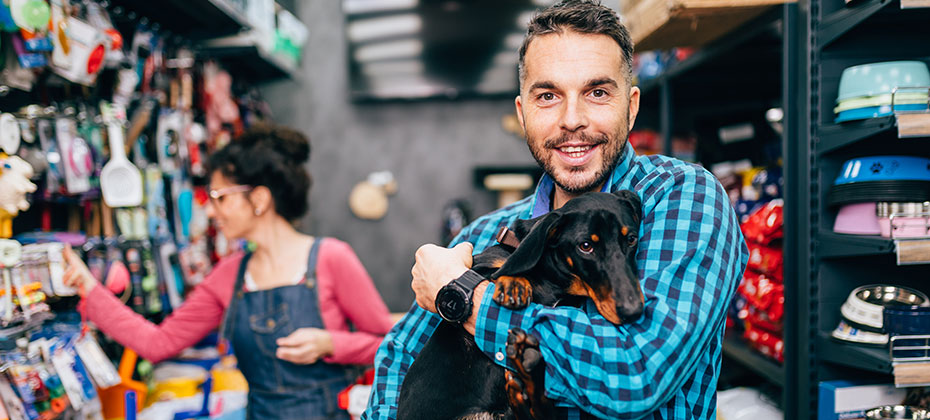 Happy couple buying toys and food for their Dachshund in pet shop.