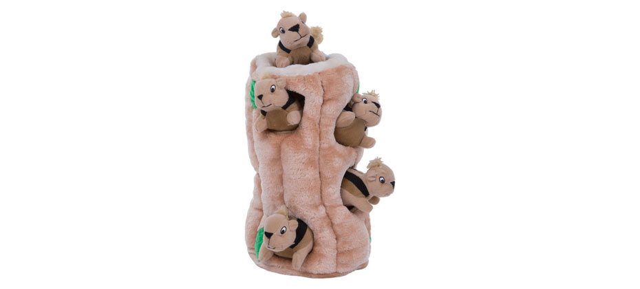The Best Hide-And-Seek Dog Toy: Outward Hound Hide A Squirrel Plush Toy