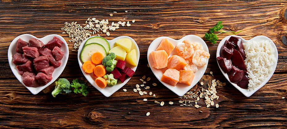 Panorama banner of healthy fresh ingredients for pet food in individual heart-shaped bowls viewed from overhead with chopped raw beef, liver and chicken , mixed vegetables and rains on rustic wood