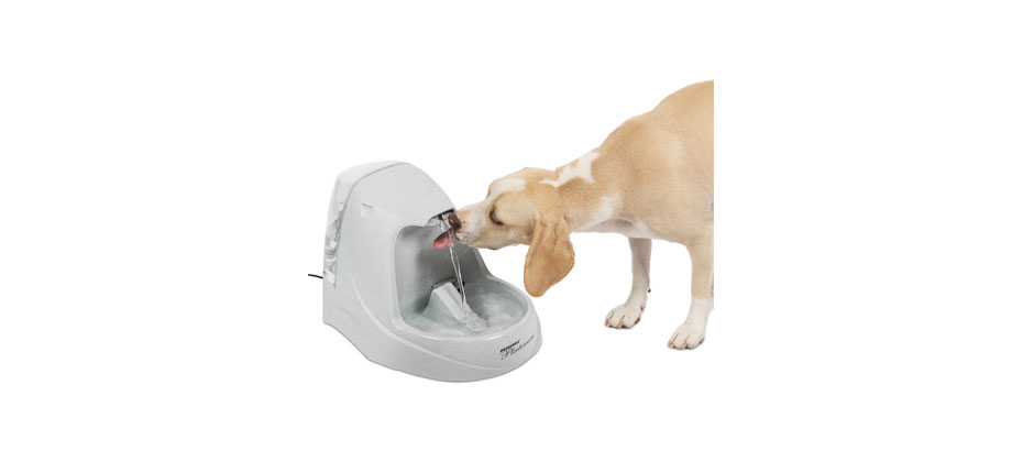 PetSafe Drinkwell Platinum Plastic Dog Fountain