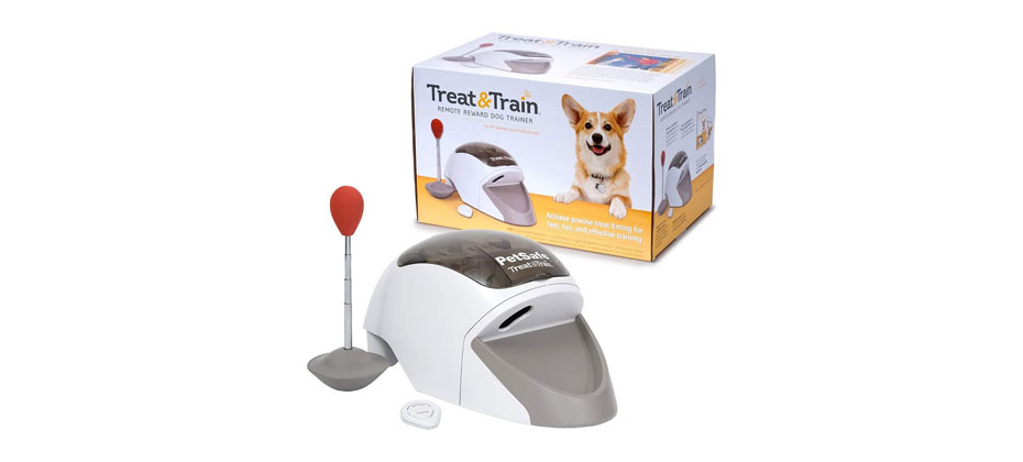 The Best Toy For Training: PetSafe Treat & Train Remote Reward Dog Trainer