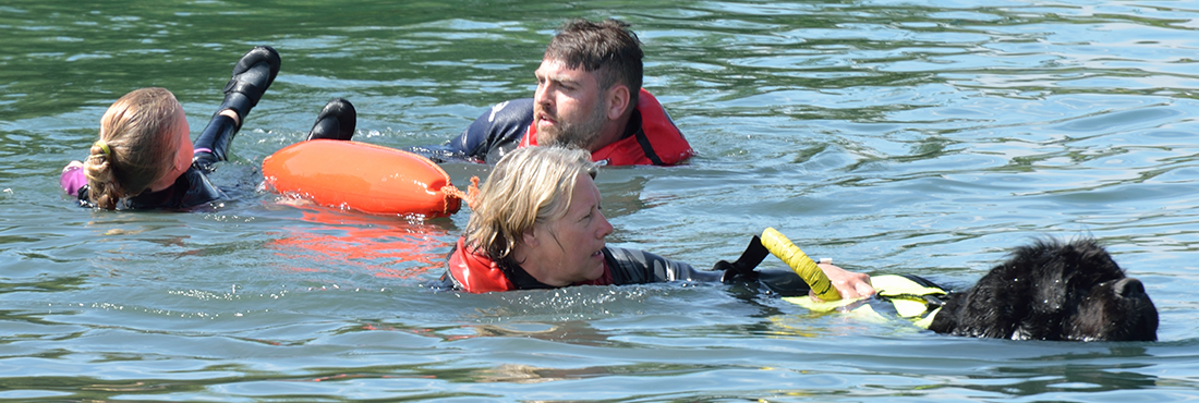 Pioneering Swim with Dogs Project Helps Emergency Workers Cope with Trauma