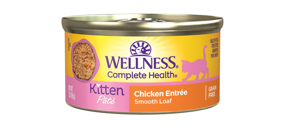 Best Wet Food for Outdoor Kittens: Wellness Complete Health Kitten Food