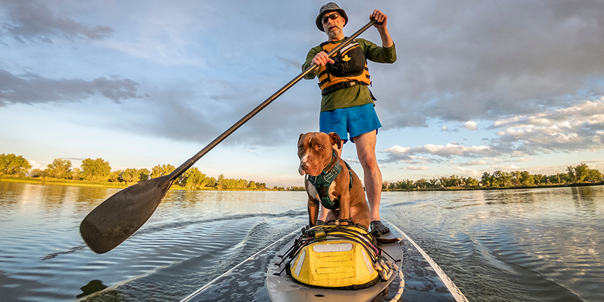 senior male paddling stand up paddleboard with his pitbull dog on lake in Colorado, summer scenery