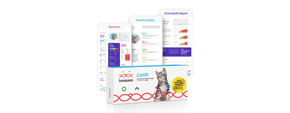 Basepaws Cat DNA Test