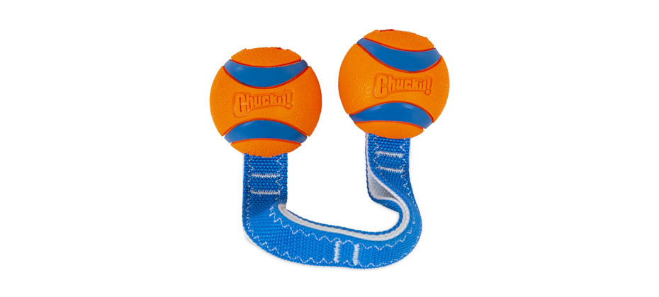 Best Tug Toy for Pitbulls: CHUCKIT! Ultra Duo Tug Tough Dog Toy