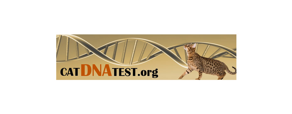 Cat DNA Test