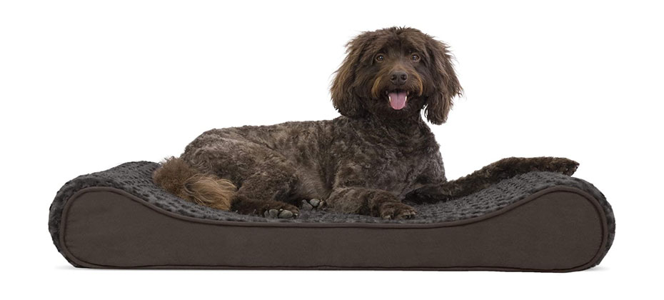 Best Cradle: FurHaven Ultra Plush Luxe Lounger Orthopedic Bed