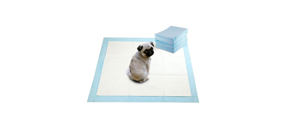 GOBUDDY Super Absorbent Training Puppy Pads