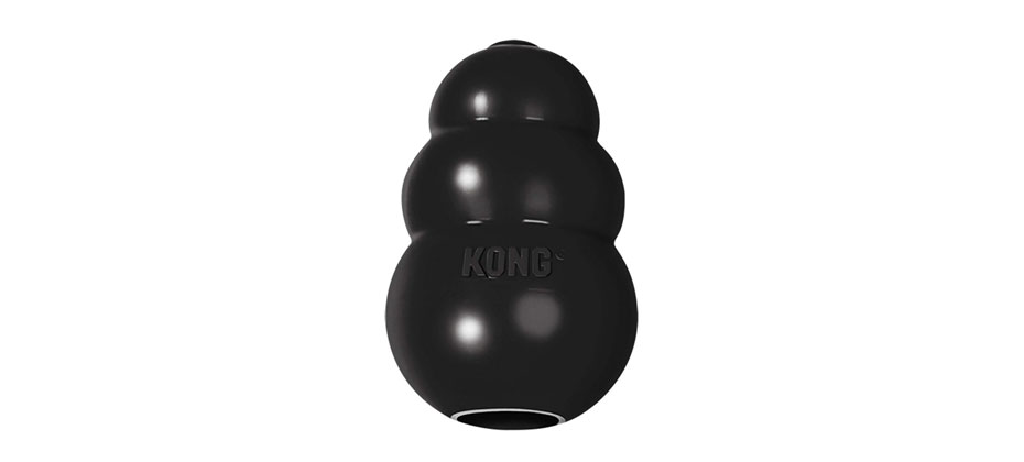 Best Overall: KONG Extreme Dog Toy