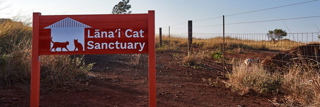 Lanai Cat Sanctuary