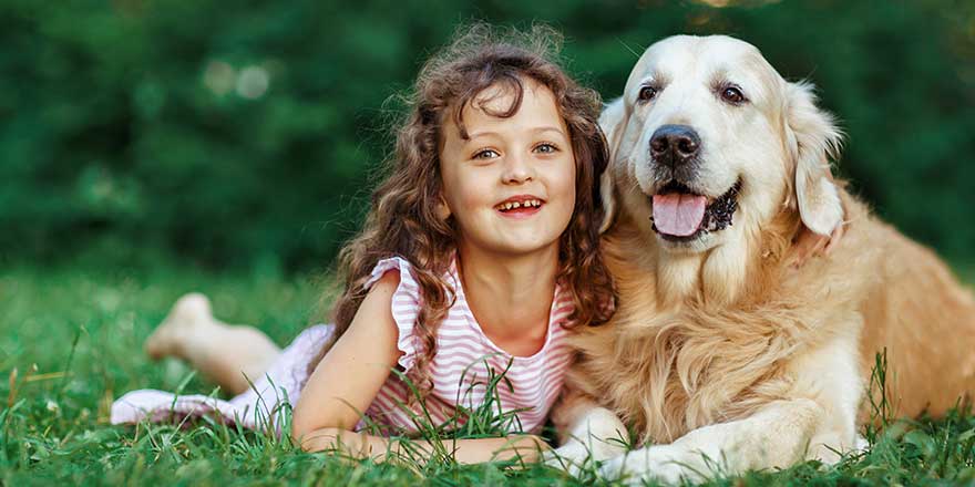 Little girl with a golden retriever, outdoor summer