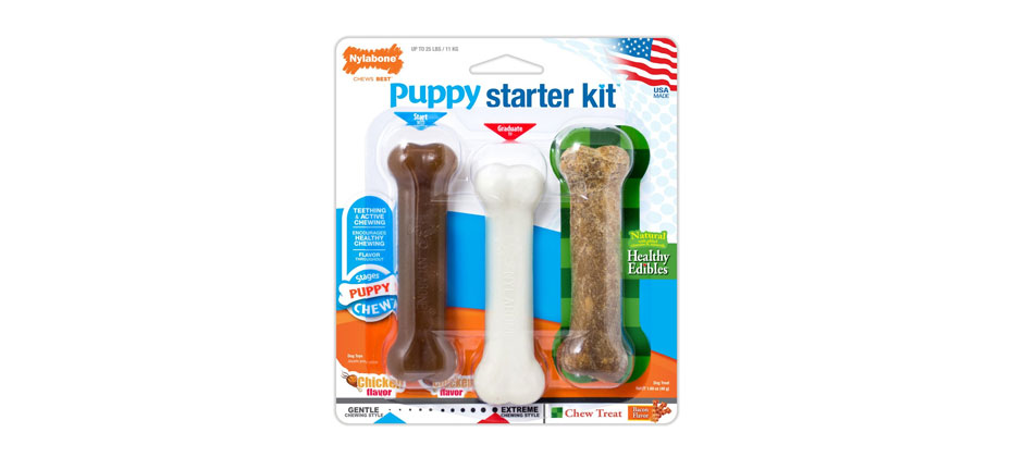Best for Pitbull Puppies: NYLABONE Puppy Chew Starter Kit