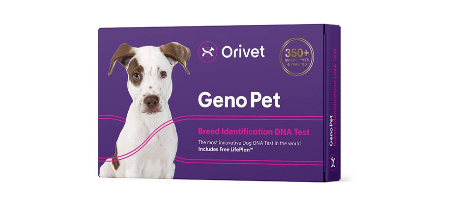 ORIVET Genopet Dog DNA Test