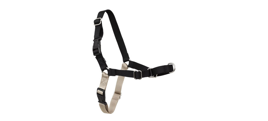 Best for Puppies: PetSafe Easy Walk Dog Harness