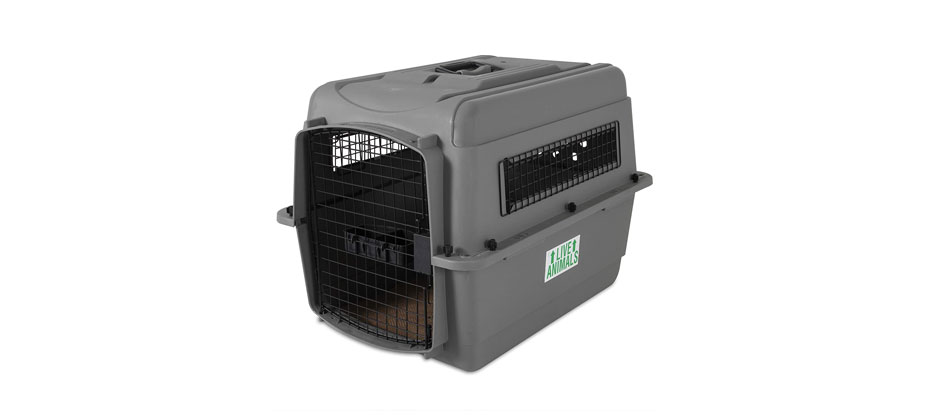 Petmate Sky Kennel Pet Carrier,