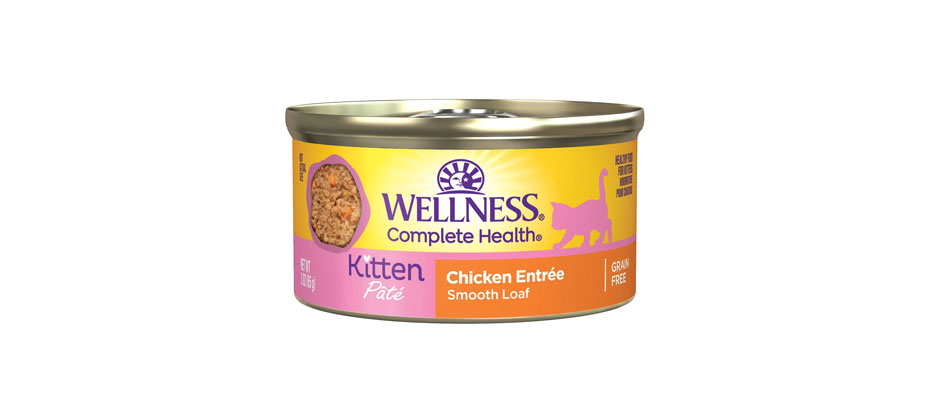 Best Wet Food for Outdoor Kittens: Wellness Complete Health Kitten Food