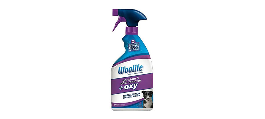 Advanced Technology: Bissell Woolite Pet Stain & Odor Remover
