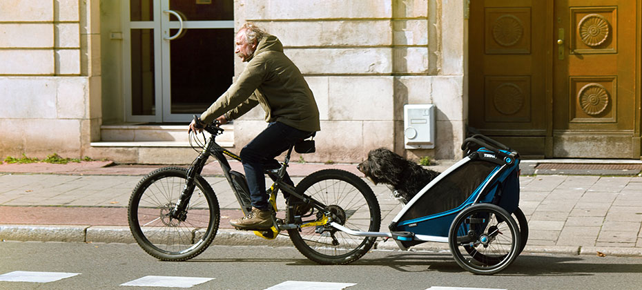 citizen transports dog on Bicycle in special trailer.