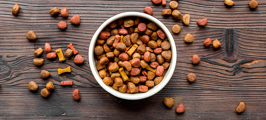 dry dog food in bowl on wooden background top view