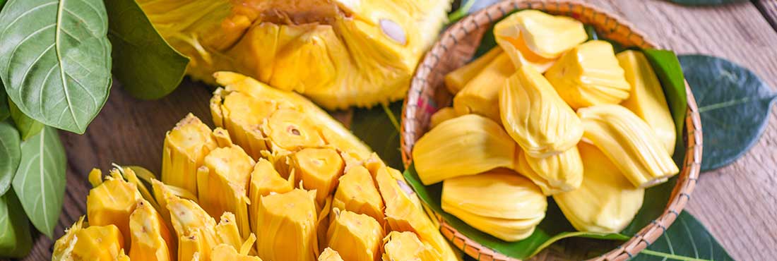 Can Dogs Eat Jackfruit? And Should You Really Share?