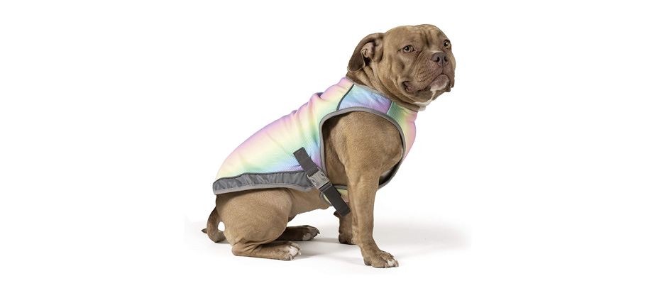 Best Design: Canada Pooch Chill Seeker Cooling Vest