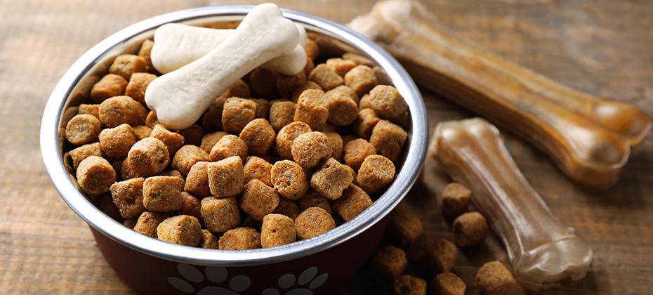 Dog food in metallic bowl on wooden background