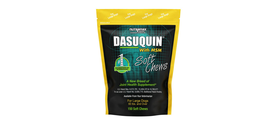 Nutramax Dasuquin with MSM Soft Chews Joint Supplement for Large Dogs