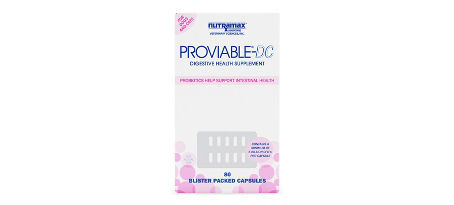 Nutramax Proviable-DC Digestive Health Supplement