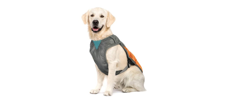 POPETPOP Dog Cooling Vest