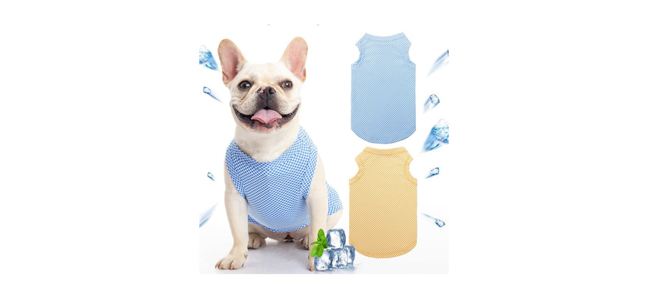 Sceneral Ice Cooling Dog Vest