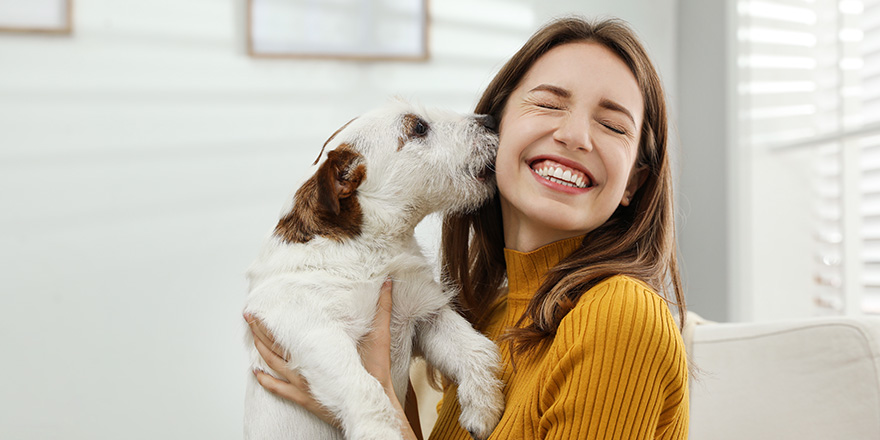 Young woman with her cute Jack Russell Terrier at home. Lovely pet