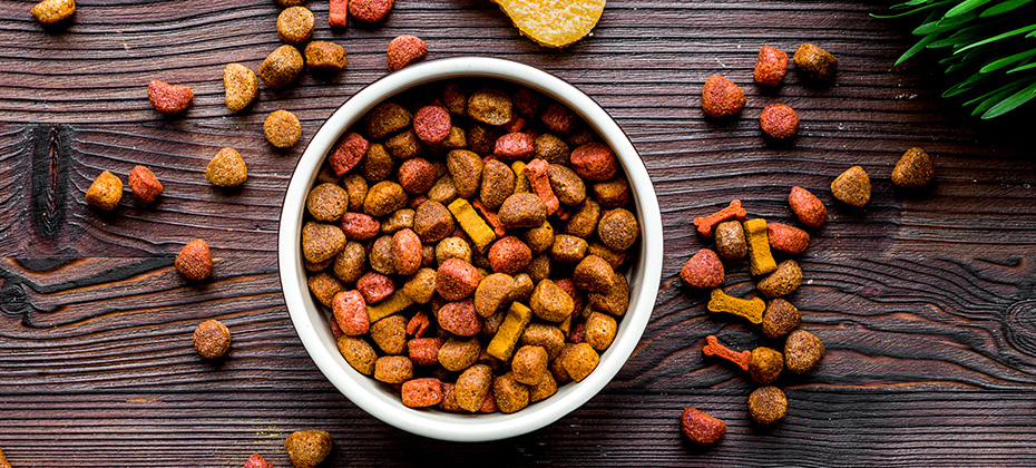 dry dog food in bowl on wooden background top view