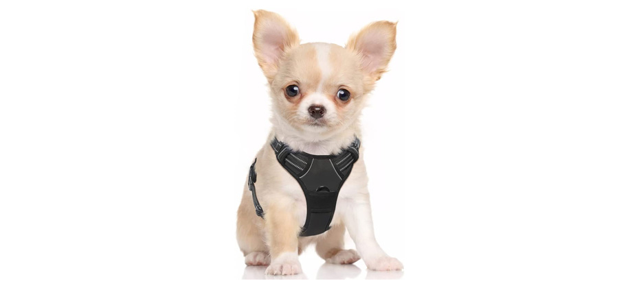 Rabbitgoo No-Pull Pet Harness