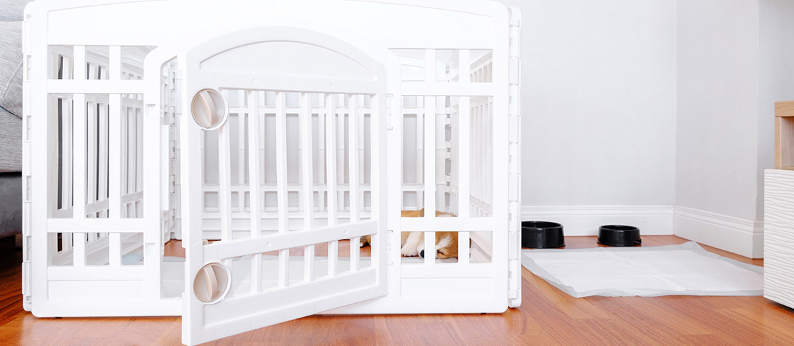 Best-Dog-Playpens