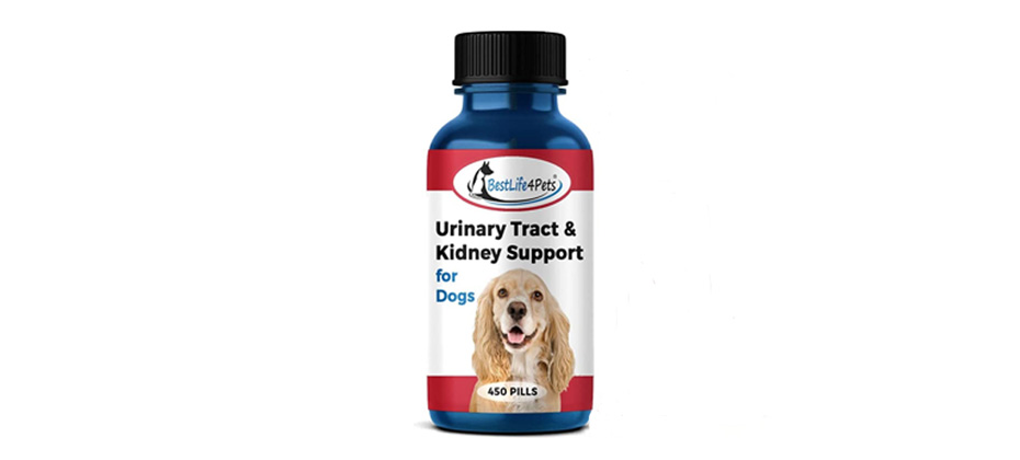 BestLife4Pets Dog UTI Kidney Support