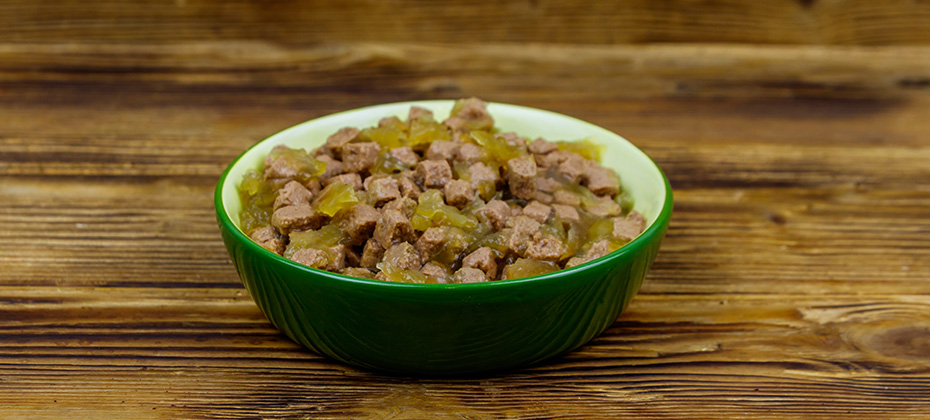 Canned food for cats or dogs in green ceramic bowl on wooden floor