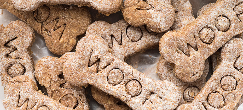 Close up view of home made dog treats with the word Woof
