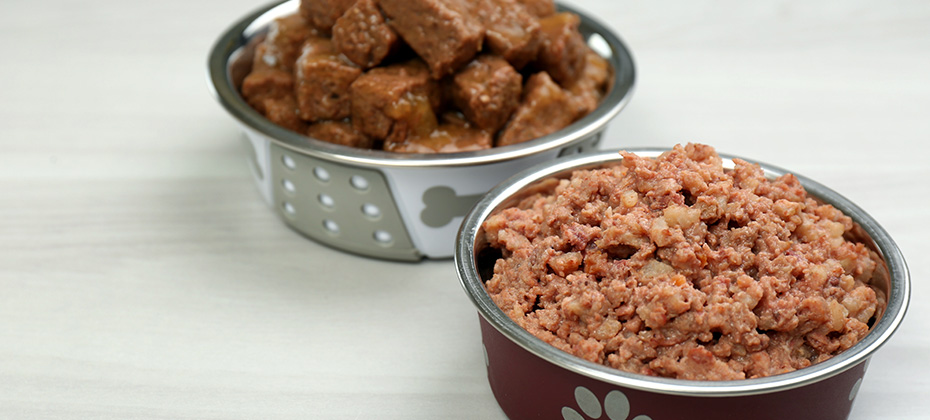 Different pet food in feeding bowls on white wooden background