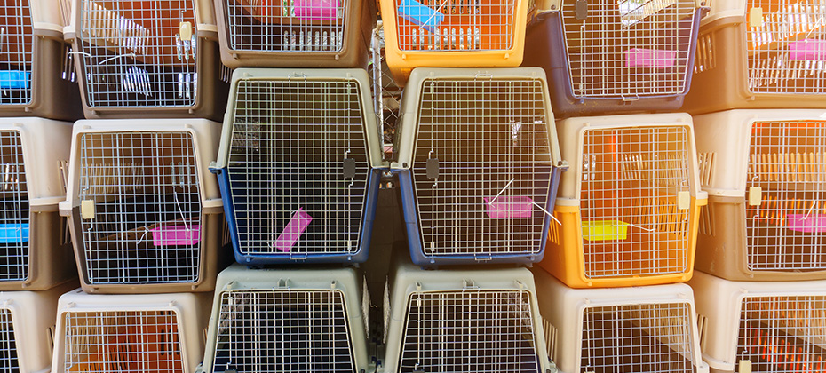 Dog crates carrying for dogs and cats to be loaded into a plane Portable plastic animal cage travel box