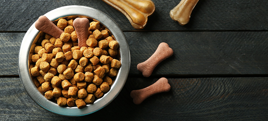 Dog food in metallic bowl on black wooden background