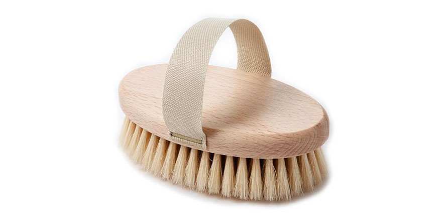 Example of the dog bristle brush 